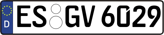 ES-GV6029