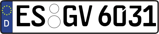 ES-GV6031