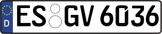 ES-GV6036
