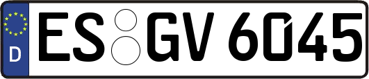 ES-GV6045