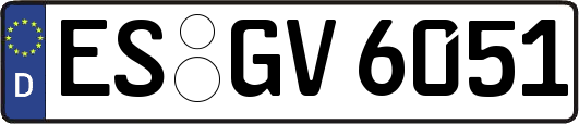 ES-GV6051