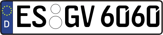 ES-GV6060