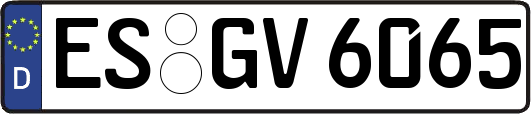 ES-GV6065