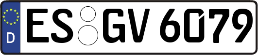 ES-GV6079