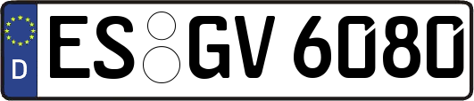 ES-GV6080