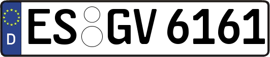 ES-GV6161
