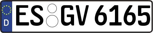 ES-GV6165