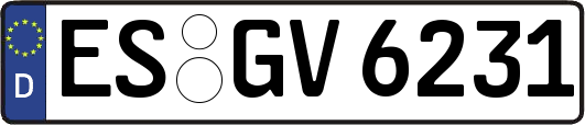 ES-GV6231