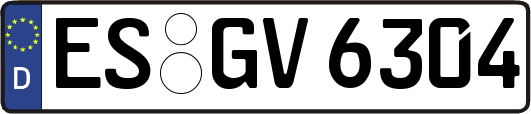 ES-GV6304