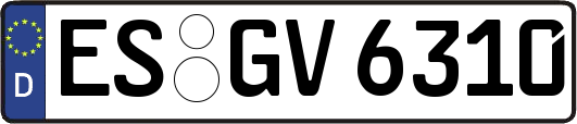 ES-GV6310