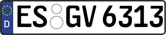 ES-GV6313