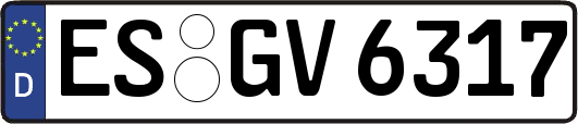 ES-GV6317