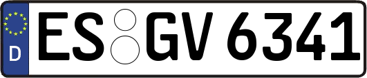 ES-GV6341