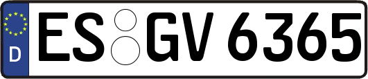 ES-GV6365