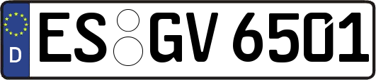 ES-GV6501