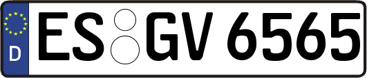 ES-GV6565
