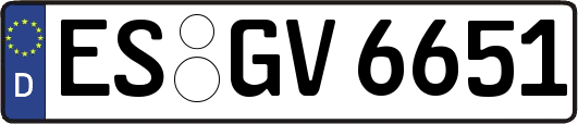 ES-GV6651