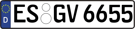 ES-GV6655
