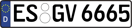 ES-GV6665