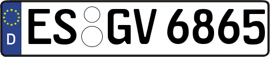 ES-GV6865