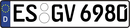 ES-GV6980