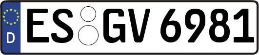 ES-GV6981