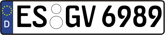 ES-GV6989
