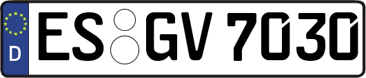 ES-GV7030