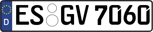 ES-GV7060