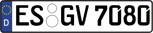 ES-GV7080