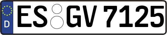 ES-GV7125