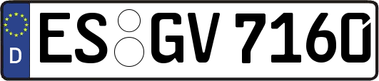 ES-GV7160