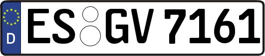 ES-GV7161