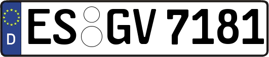ES-GV7181