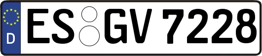 ES-GV7228