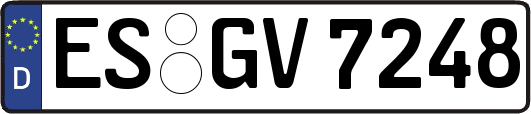 ES-GV7248