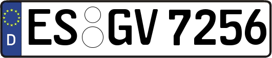 ES-GV7256