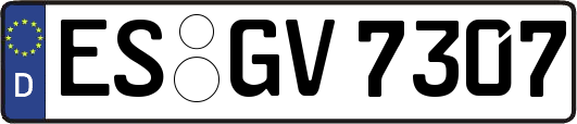 ES-GV7307