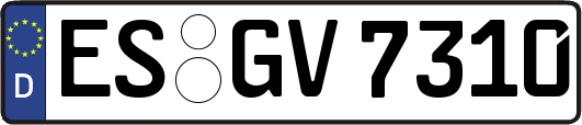 ES-GV7310