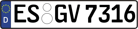 ES-GV7316