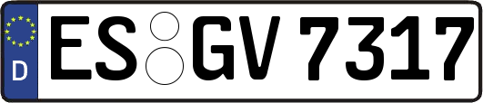 ES-GV7317
