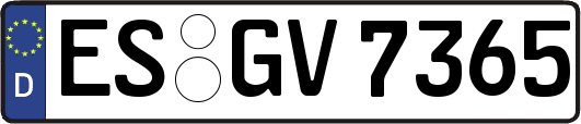 ES-GV7365