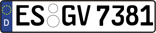 ES-GV7381