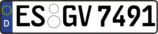 ES-GV7491