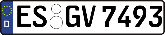 ES-GV7493