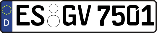 ES-GV7501