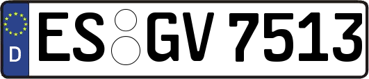 ES-GV7513