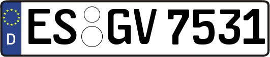 ES-GV7531