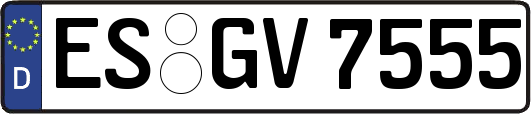 ES-GV7555