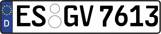ES-GV7613